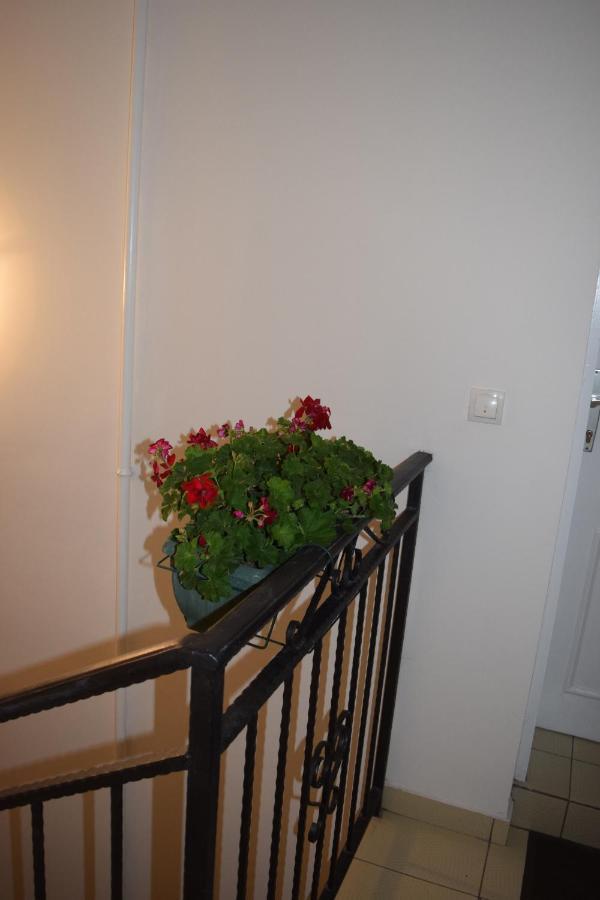 Nadja Apartment Нови Сад Екстериор снимка